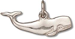 Sterling Silver Womens 30" 1mm Box Chain 2D Sperm Whale Pendant Necklace