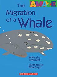 The Migration of a Whale (Amaze)