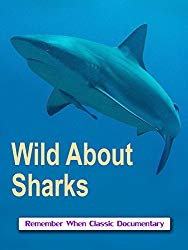 Wild About - Sharks