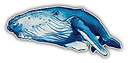Watercolor Humpback Whale Art Decor Bumper Sticker 6'' x 3''