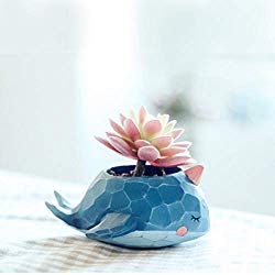 Yingxinguang Garden Office Resin Cartoon Animal Whale Shaped Plant Flower Pot Decoration Animal Flower Pots Planter