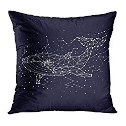 TOMKEYS Throw Pillow Cover Blue Animal Whale Constellation Graphics Fish Marine Decorative Pillow Case Home Decor Square 20x20 Inches Pillowcase