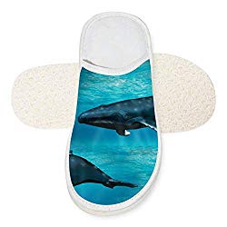 Fuxejin Winter Cotton Slippers,Creative Deep Sea Blue Whale Printed House Slippers/Flat Shoes/Indoor Sliooers 11 B(M) US