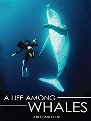 A Life Among Whales