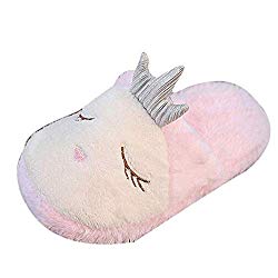 Fiaya Women's Cartoon Whale Slippers Cozy Warm Soft Fuzzy Slip On Plush Slippers Home Shoes (US:7-7.5, Pink1)