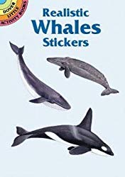 Realistic Whales (Dover Little Activity Books Stickers)