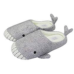 Pasoataques Women's Whale Sliver Indoor Slippers 6 M US