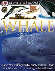 DK Eyewitness Books: Whale: Discover the Amazing World of Marine Mammals their Lives, Behaviour, and Surroun