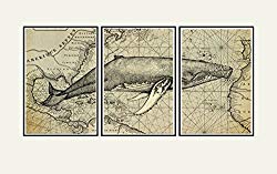 Whale wall art Print, Old map art, nautical decor, cool artwork Vintage Whale engraving superimposed over a Print of an old map of the New World