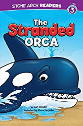 The Stranded Orca (Ocean Tales)