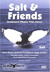 Salt & Friends: Humpback Whales With Names