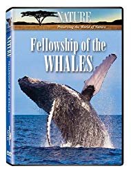Nature: Fellowship of the Whales
