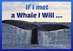 Childrens Books: If I Met a Whale I Will ... (Animal Habitats) (Values book) (Preschool) (Beginner reader Early learning) (Explore the World kids book ... for Early & Beginner Readers Books 7)