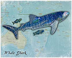 Shark Art Prints for Kids (Whale Shark, 8"x10")