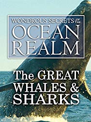 Wondrous Secrets of the Ocean Realm: The Great Whales & Sharks
