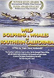 Wild Dolphins and Whales of Southern California by Randolph Productions Inc
