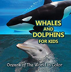 Whales and Dolphins for Kids : Oceans of The World in Color: Marine Life and Oceanography for Kids (Children's Oceanography Books)