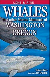 Whales and Other Marine Mammals of Washington and Oregon