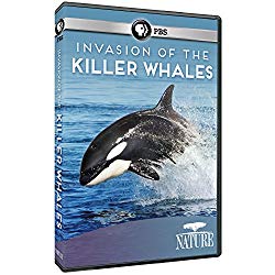 Nature: Invasion of the Killer Whales