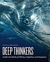 Deep Thinkers: Inside the Minds of Whales, Dolphins, and Porpoises