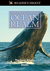 Wondrous Secrets of the Ocean Realm: The Great Whales & Sharks