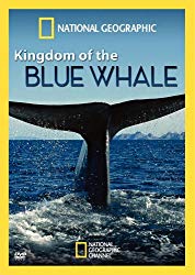 Kingdom of the Blue Whale, The