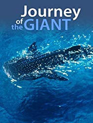 Journey Of The Giant