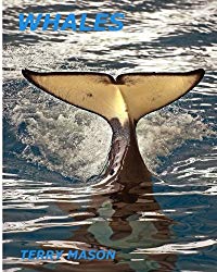 Whales: Whale Facts for Kids,Whales Gentle Giants of the Sea (Facts about Animals in the Sea) (Volume 4)
