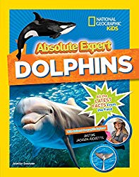 Absolute Expert: Dolphins