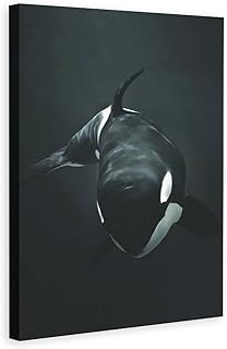 XDTIOPIMY Decoración artística de pared de animales en blanco y negro con diseño de ballena asesina, decoración de oficina, habitación, pinturas para sala de estar, dormitorio, enmarcado, listo para