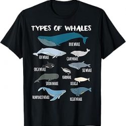 Tipos de ballenas Linda camiseta de guía de mamíferos oceánicos, Negro -