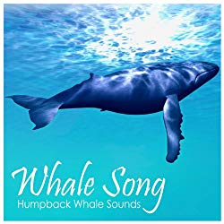 Humpback Whale Sounds