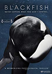 Blackfish