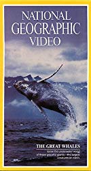 National Geographic's The Great Whales [VHS]