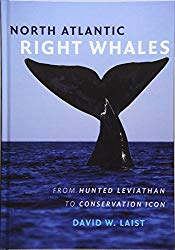 North Atlantic Right Whales: From Hunted Leviathan to Conservation Icon
