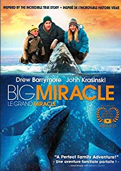 Big Miracle