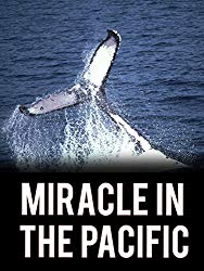 Miracle in the Pacific