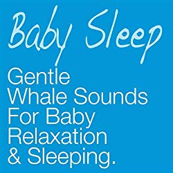 Baby Sleep: Whale Sounds (60 Minutes)