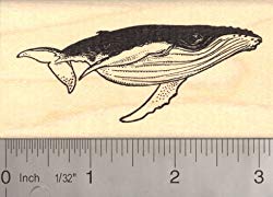 Humpback Whale (Baleen) Rubber Stamp