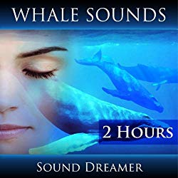 Whale Sounds (2 Hours)