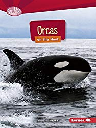 Orcas on the Hunt (Searchlight Books)