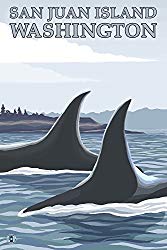 San Juan Island, Washington - Orca Whales #1 (9x12 Art Print, Wall Decor Travel Poster)