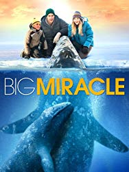 Big Miracle