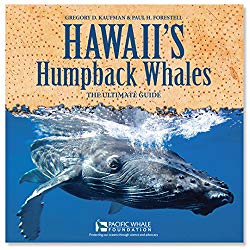 Hawaii's Humpback Whales: The Ultimate Guide