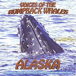 Voices of the Humpback Whales Alaska