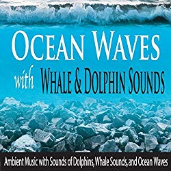 Ocean Waves With Whale & Dolphin Sounds: Ambient Music With Sounds of Dolphins, Whale Sounds, And Ocean Waves
