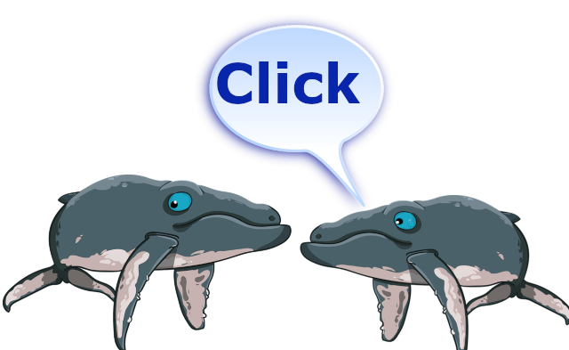 Communication between whales