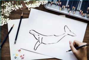 Whale Drawings