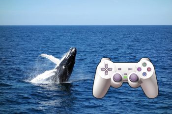 Whale Games