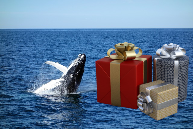 Whale Gifts